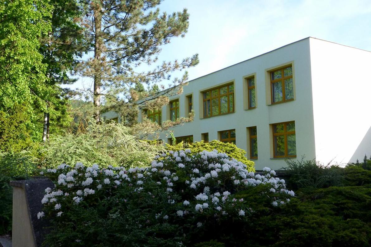 Penzion Fit Velke Losiny Exterior photo